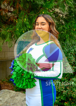 Liberty Cheer - 25-7197