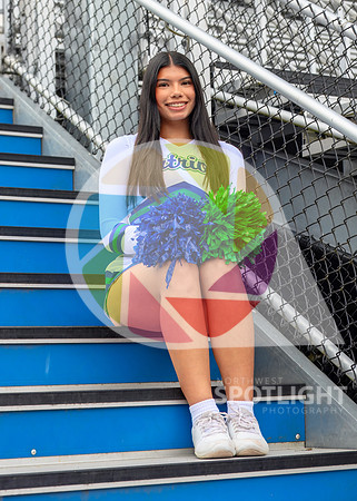 Liberty Cheer 26-2952