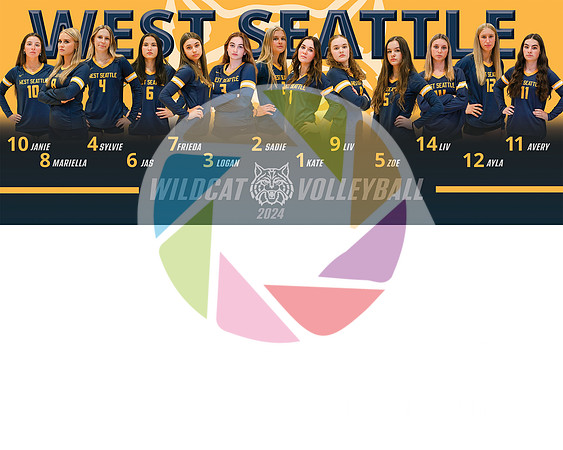 2024TeamBannerWSVB8x10