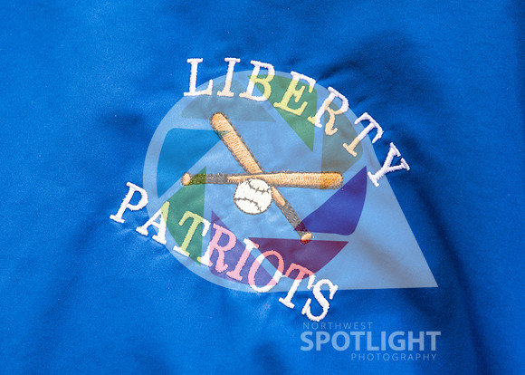 LHS Fastpitch Logo 8488