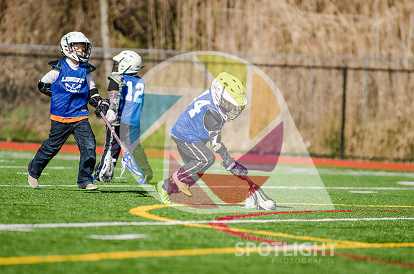 _NWS6819