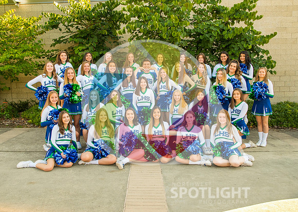 LHS Cheer All Team '19 _NEW7803