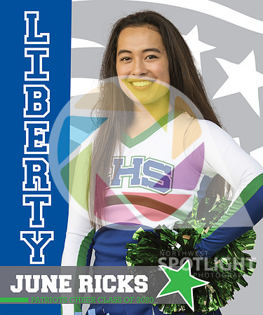 LHS Cheer Banner June Ricks