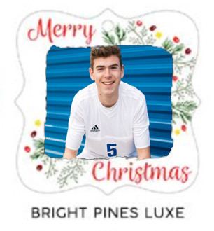 Bright Pines Luxe
