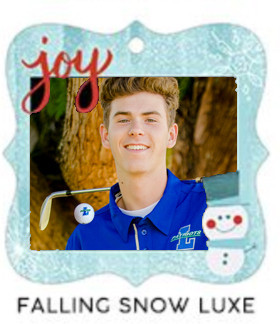 Falling Snow Luxe